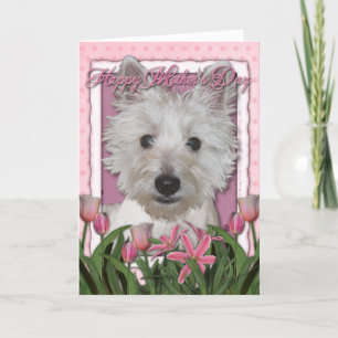 Mutter-Tag - rosa Tulpen - Westie Karte