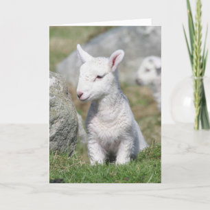 MUTTER-TAGESkarte Karte