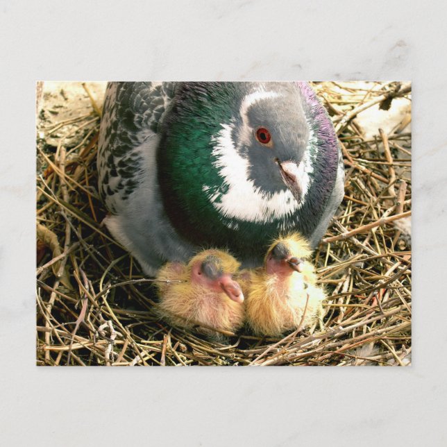 Mutter-Tagespostkarte Postkarte (Vorderseite)