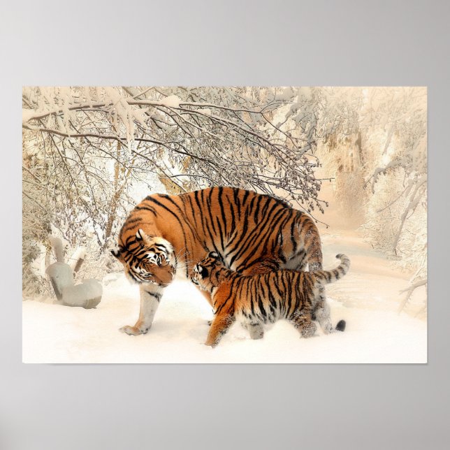 Mutter Tiger und Cube im Schneewald Poster (Vorne)