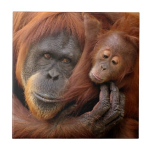 Mutter-u. Baby-Orang-Utan Fliese