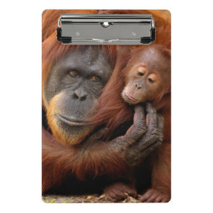 Mutter-u. Baby-Orang-Utan Mini Klemmbrett