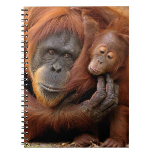 Mutter-u. Baby-Orang-Utan Notizblock