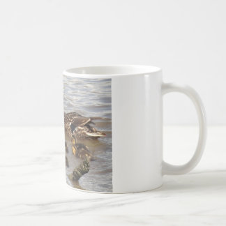 Mutter-u. Baby-Stockenten auf dem Fluss Kaffeetasse