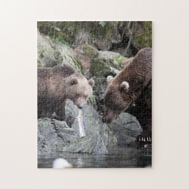 Mutter und Baby Animal Bear Fotografy Animal (Vertikal)