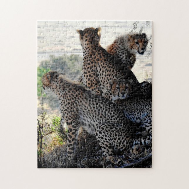 Mutter und Baby Animal Cheetah Fotografie Tier (Vertikal)