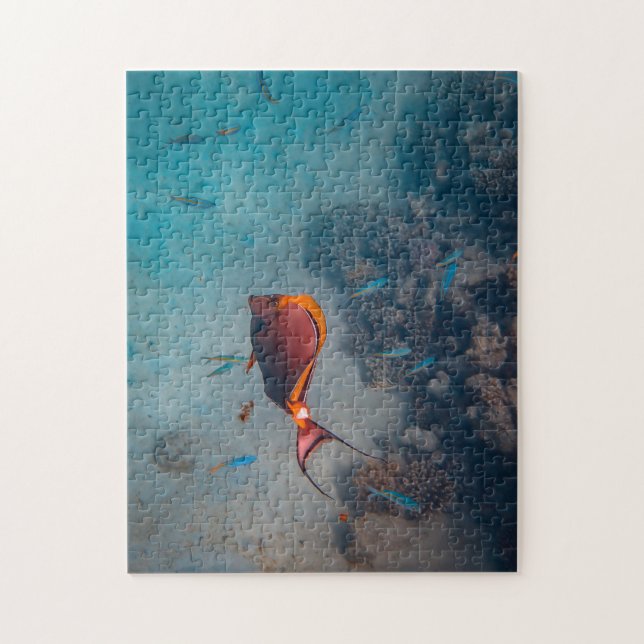 Mutter und Baby Animal Fish Fototier (Vertikal)