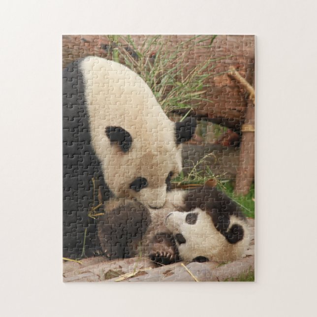 Mutter und Baby Animal Panda BärenfotografieTier (Vertikal)