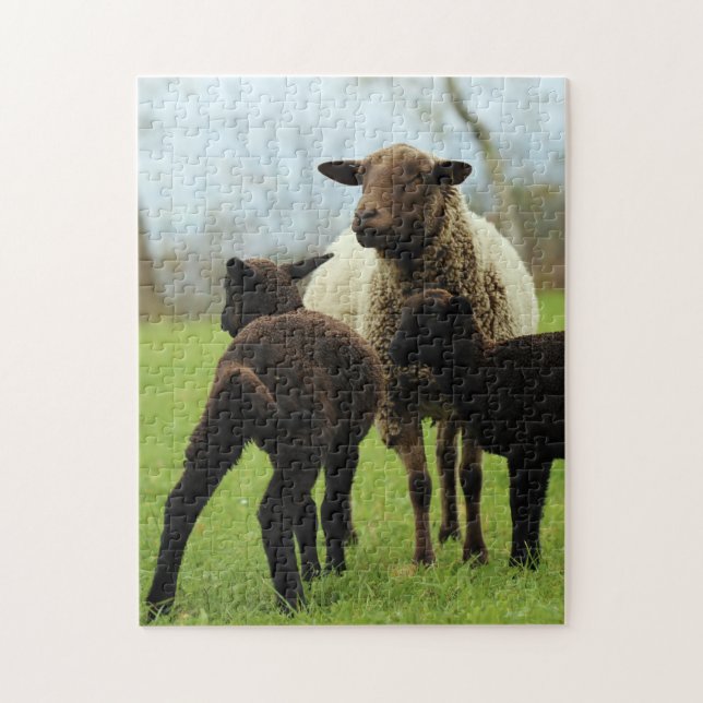 Mutter und Baby Animal Sheep Fototier (Vertikal)
