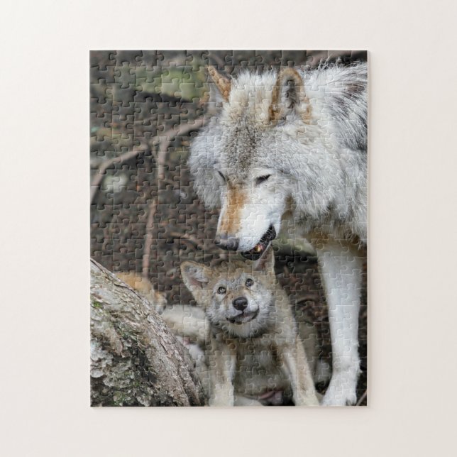 Mutter und Baby Animal Wolf Fotografie Tier (Vertikal)