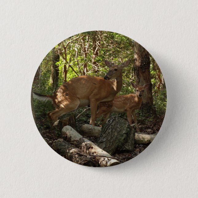Mutter und Baby Deer im Shenandoah-Nationalpark Button (Vorderseite)