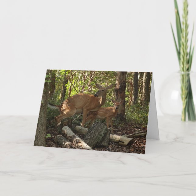 Mutter und Baby Deer im Shenandoah-Nationalpark Karte (Vorderseite)