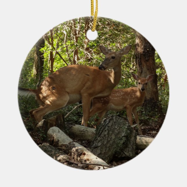 Mutter und Baby Deer im Shenandoah-Nationalpark Keramik Ornament (Vorne)