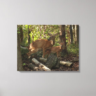Mutter und Baby Deer im Shenandoah-Nationalpark Leinwanddruck