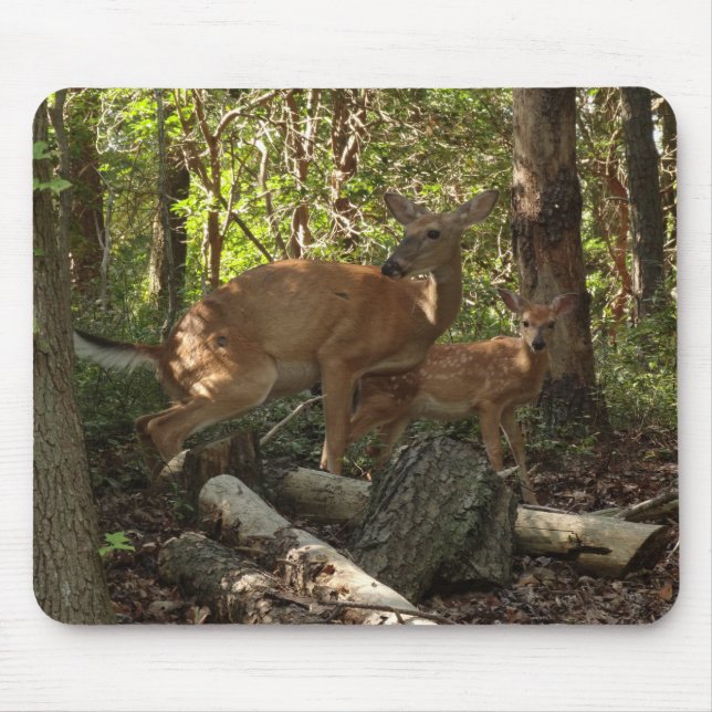 Mutter und Baby Deer im Shenandoah-Nationalpark Mousepad (Vorne)