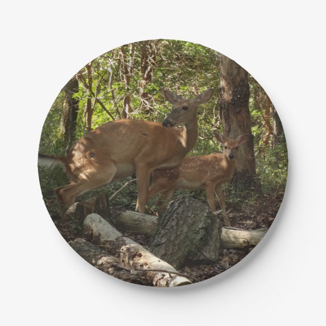 Mutter und Baby Deer im Shenandoah-Nationalpark Pappteller (Vorderseite)