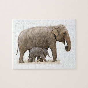 Mutter und Baby Elephant