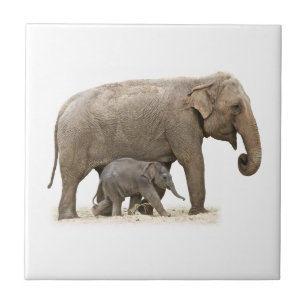 Mutter und Baby Elephant Fliese