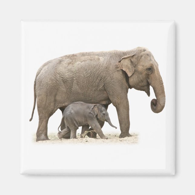 Mutter und Baby Elephant Magnet (Vorne)