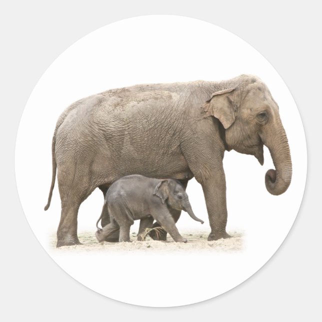 Mutter und Baby Elephant Runder Aufkleber (Vorderseite)