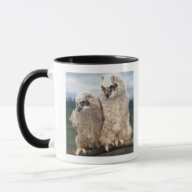 Mutter-und Baby-Eule Tasse (Links)
