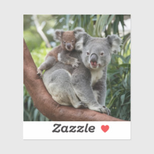Mutter und Baby Koala Bear Aufkleber