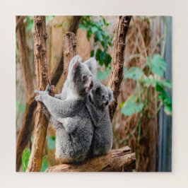 Mutter und Baby Koala Bears