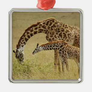 Mutter und Baby Massai-Giraffe, Giraffa Silbernes Ornament