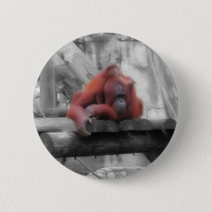 Mutter und Baby Orangutan Button