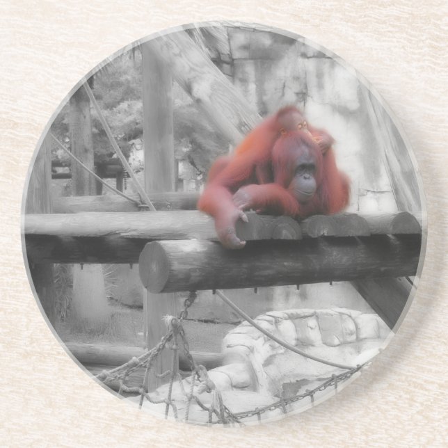 Mutter und Baby Orangutan Getränkeuntersetzer (Vorne)