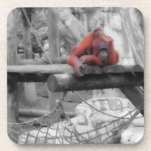 Mutter und Baby Orangutan Getränkeuntersetzer
