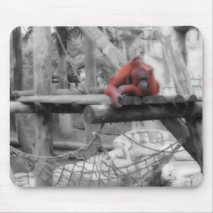 Mutter und Baby Orangutan Mousepad