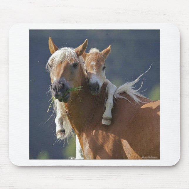Mutter-und Baby-Pferd Mousepad (Vorne)