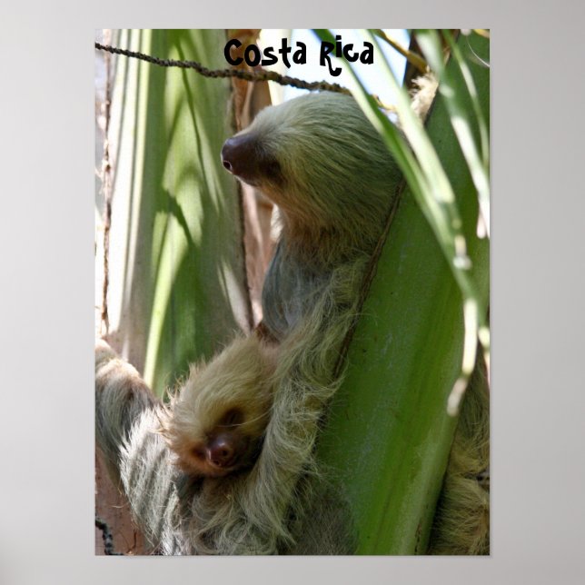 Mutter und Baby Poster (Vorne)