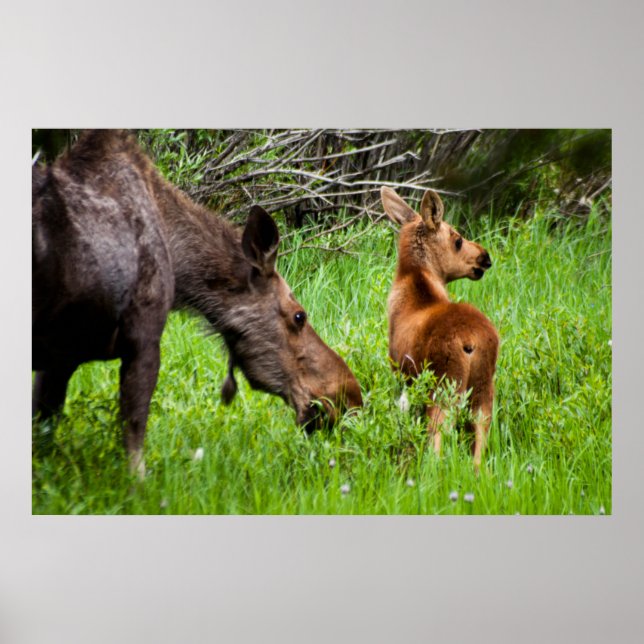 Mutter und Baby Poster (Vorne)