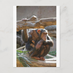 Mutter und Baby Postkarte