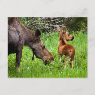 Mutter und Baby Postkarte