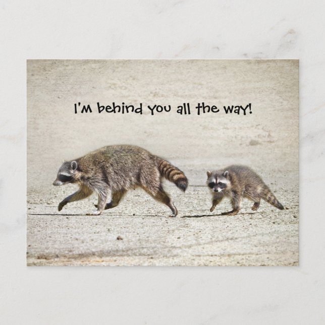 Mutter und Baby Raccoon Postkarte (Vorderseite)