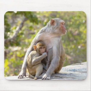 Mutter und Baby Rhesus Macaque Affen an Wand Mousepad