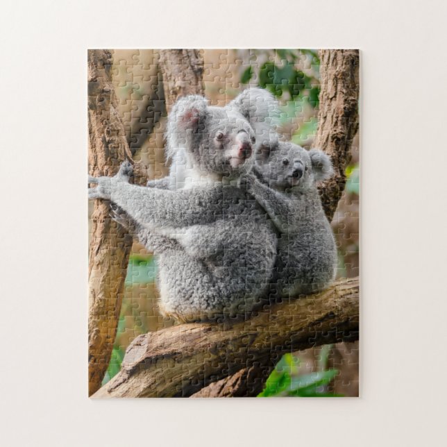 Mutter und Baby Tier Koala BearFotografie Tier (Vertikal)