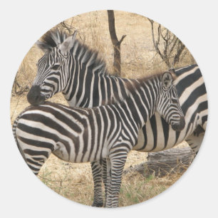 Mutter und Baby Zebra Sticker