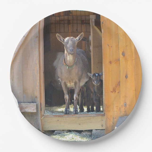 Mutter-und Baby-Ziegen-Platte Pappteller (Vorderseite)