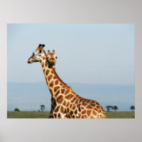 Mütter- und Babygiraffe