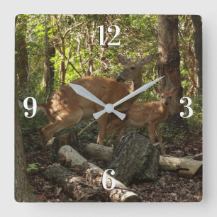 Mutter und Babyreh im Shenandoah-Nationalpark Quadratische Wanduhr