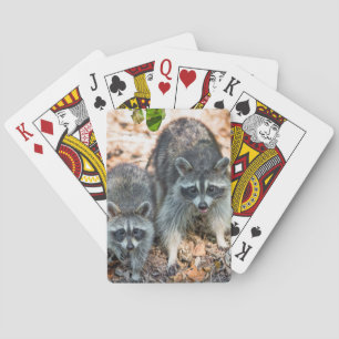 Mutter und junger Raccoon im Herbst Spielkarten