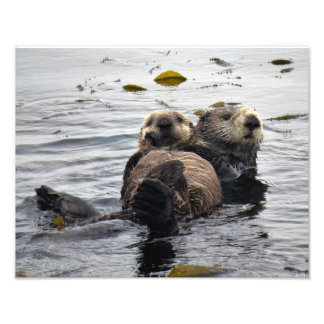 Mutter und Jungtier Seeotter Fotodruck