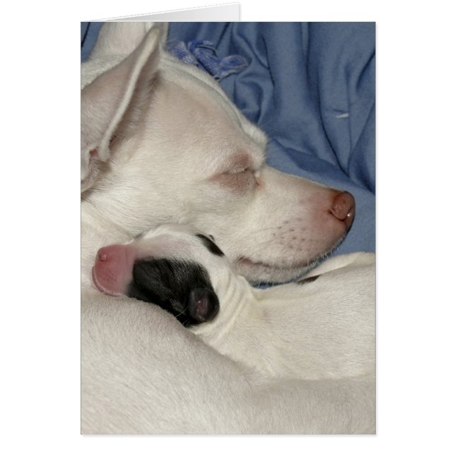 Mutter und Kind (Vorne)