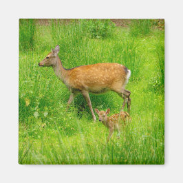 Mutter und Kind - Brachhirsche mit jungen Magnet