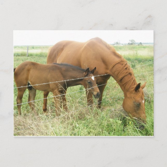 Mutter und Kind Postkarte (Vorderseite)