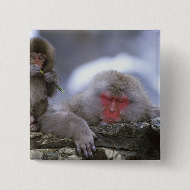 Mutter und Kind von Snow Monkey, Jigokudani, Nagan Button (Vorderseite)